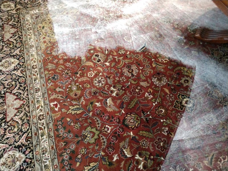 sugar land carpet cleaning